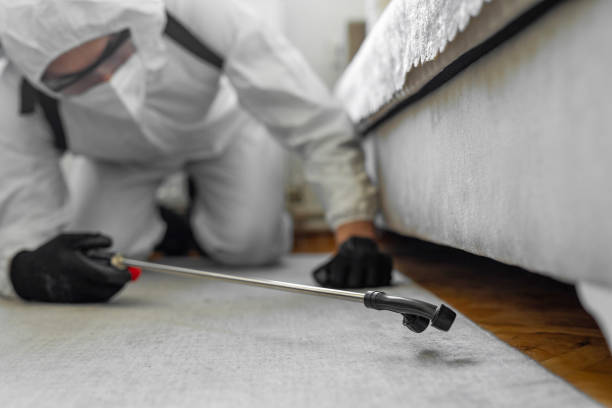 Professional Termite Control technician working in Radcliff, KY