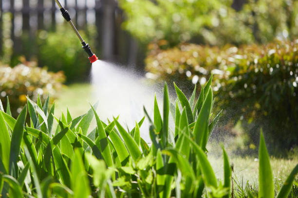 24/7 Emergency Termite Control experts in Radcliff, KY