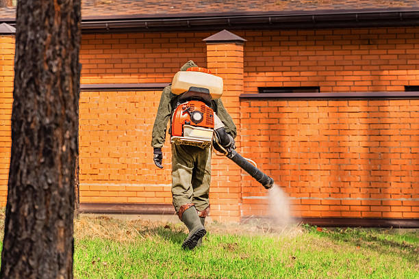 Top rated local Termite Control specialists in Radcliff, KY